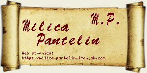 Milica Pantelin vizit kartica